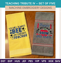 258TeachingTribute-IV
