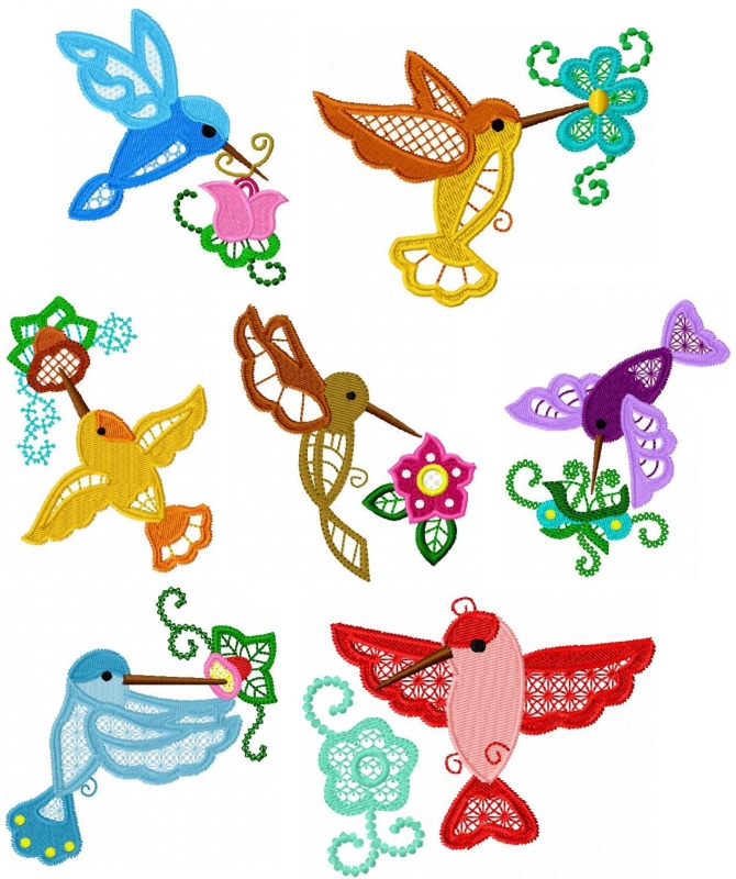 800LACEHUMMINGBIRD.jpg