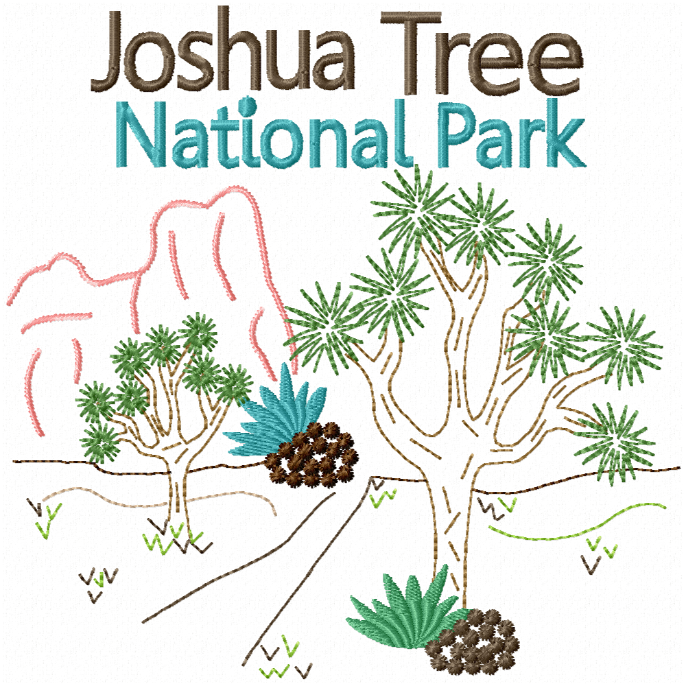 National Park Joshua Tree