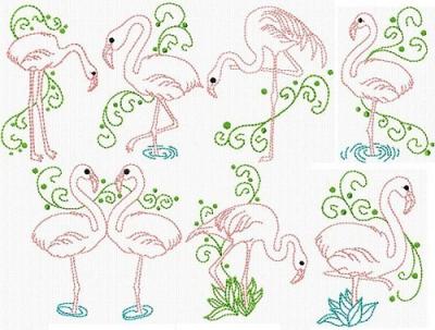 Flamingo Sketches