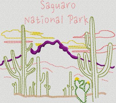 National Park Saguaro