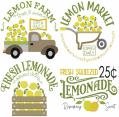 800LemonFarm-1