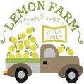 800LemonFarm-4
