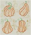800MagicPumpkins-3