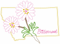 800USAStateFlowers-II-Set-I-5